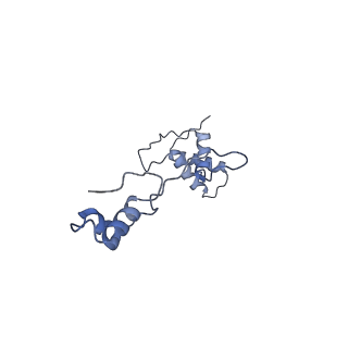 16895_8oip_AS_v1-0
28S mammalian mitochondrial small ribosomal subunit with mtRF1 and P-site tRNA