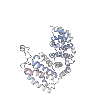 16895_8oip_AV_v1-0
28S mammalian mitochondrial small ribosomal subunit with mtRF1 and P-site tRNA