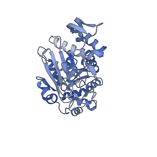 16895_8oip_AX_v1-0
28S mammalian mitochondrial small ribosomal subunit with mtRF1 and P-site tRNA