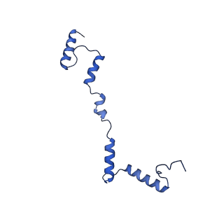 16895_8oip_AZ_v1-0
28S mammalian mitochondrial small ribosomal subunit with mtRF1 and P-site tRNA