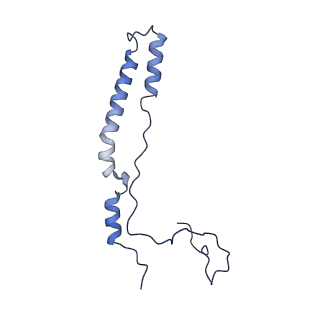 16895_8oip_Ac_v1-0
28S mammalian mitochondrial small ribosomal subunit with mtRF1 and P-site tRNA
