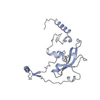 16895_8oip_Aj_v1-0
28S mammalian mitochondrial small ribosomal subunit with mtRF1 and P-site tRNA