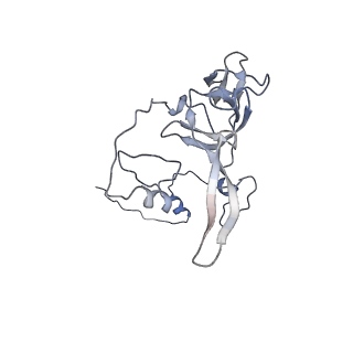 16896_8oiq_BC_v1-0
39S mammalian mitochondrial large ribosomal subunit with mtRF1 and P-site tRNA