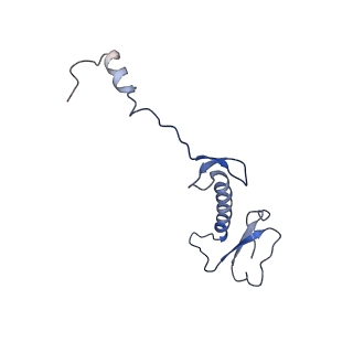 16896_8oiq_BH_v1-0
39S mammalian mitochondrial large ribosomal subunit with mtRF1 and P-site tRNA
