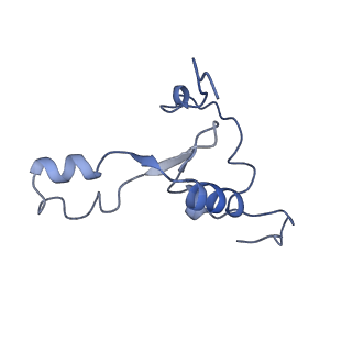 16896_8oiq_BK_v1-0
39S mammalian mitochondrial large ribosomal subunit with mtRF1 and P-site tRNA