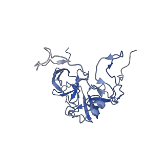 16896_8oiq_BL_v1-0
39S mammalian mitochondrial large ribosomal subunit with mtRF1 and P-site tRNA