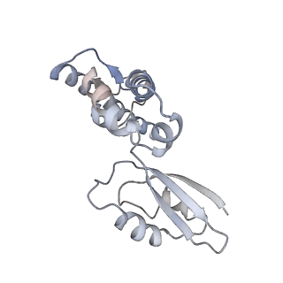 16896_8oiq_BQ_v1-0
39S mammalian mitochondrial large ribosomal subunit with mtRF1 and P-site tRNA