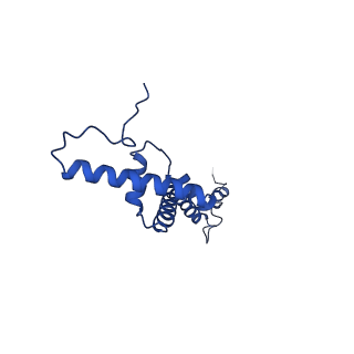 16896_8oiq_BY_v1-0
39S mammalian mitochondrial large ribosomal subunit with mtRF1 and P-site tRNA