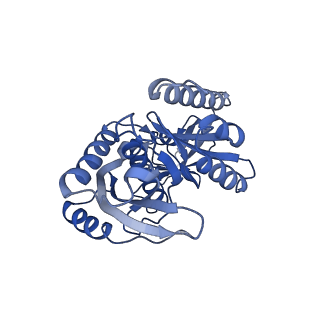 16896_8oiq_Bo_v2-0
39S mammalian mitochondrial large ribosomal subunit with mtRF1 and P-site tRNA