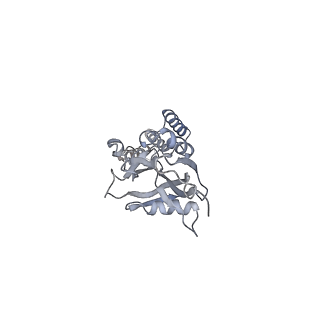 16896_8oiq_Bv_v2-0
39S mammalian mitochondrial large ribosomal subunit with mtRF1 and P-site tRNA