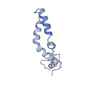 16897_8oir_AK_v1-0
55S human mitochondrial ribosome with mtRF1 and P-site tRNA