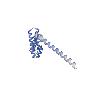 16897_8oir_AL_v1-0
55S human mitochondrial ribosome with mtRF1 and P-site tRNA