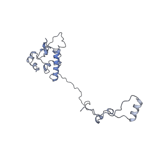 16897_8oir_AO_v1-0
55S human mitochondrial ribosome with mtRF1 and P-site tRNA