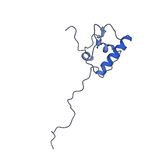 16897_8oir_AP_v1-0
55S human mitochondrial ribosome with mtRF1 and P-site tRNA