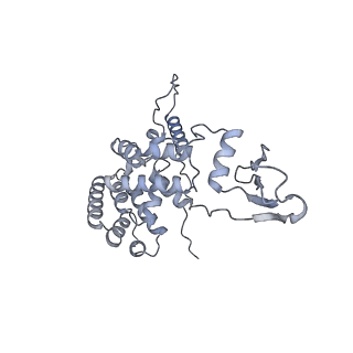 16897_8oir_AR_v1-0
55S human mitochondrial ribosome with mtRF1 and P-site tRNA