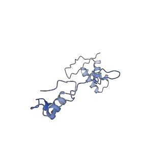16897_8oir_AS_v1-0
55S human mitochondrial ribosome with mtRF1 and P-site tRNA