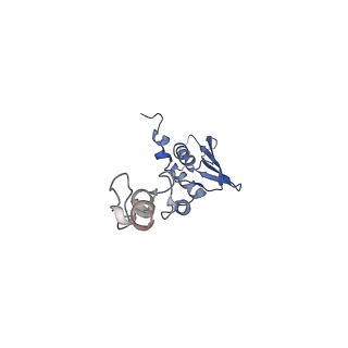 16897_8oir_AT_v1-0
55S human mitochondrial ribosome with mtRF1 and P-site tRNA