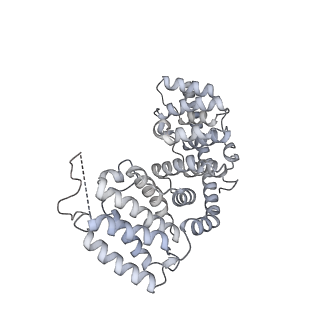 16897_8oir_AV_v1-0
55S human mitochondrial ribosome with mtRF1 and P-site tRNA