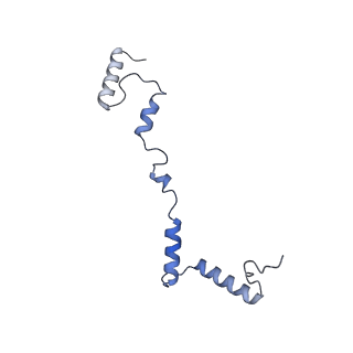 16897_8oir_AZ_v1-0
55S human mitochondrial ribosome with mtRF1 and P-site tRNA