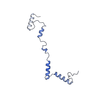 16897_8oir_AZ_v2-0
55S human mitochondrial ribosome with mtRF1 and P-site tRNA