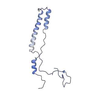 16897_8oir_Ac_v1-0
55S human mitochondrial ribosome with mtRF1 and P-site tRNA