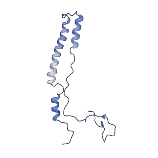 16897_8oir_Ac_v2-0
55S human mitochondrial ribosome with mtRF1 and P-site tRNA