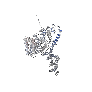 16897_8oir_Ae_v1-0
55S human mitochondrial ribosome with mtRF1 and P-site tRNA