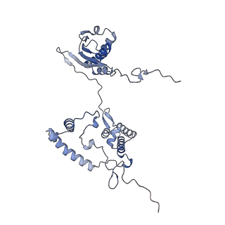 16897_8oir_Ag_v1-0
55S human mitochondrial ribosome with mtRF1 and P-site tRNA