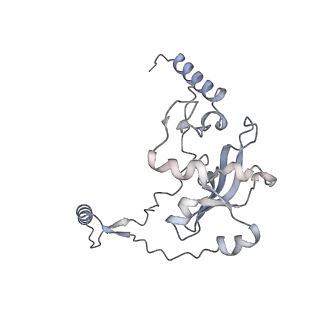 16897_8oir_Aj_v1-0
55S human mitochondrial ribosome with mtRF1 and P-site tRNA