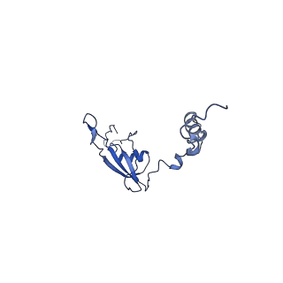 16897_8oir_BB_v1-0
55S human mitochondrial ribosome with mtRF1 and P-site tRNA