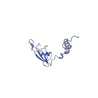 16897_8oir_BB_v2-0
55S human mitochondrial ribosome with mtRF1 and P-site tRNA