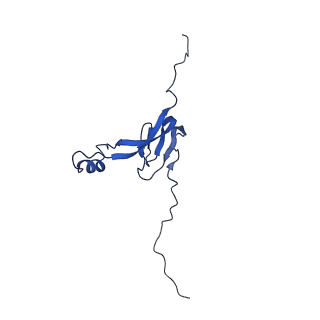 16897_8oir_BD_v1-0
55S human mitochondrial ribosome with mtRF1 and P-site tRNA