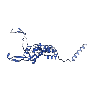 16897_8oir_BE_v1-0
55S human mitochondrial ribosome with mtRF1 and P-site tRNA