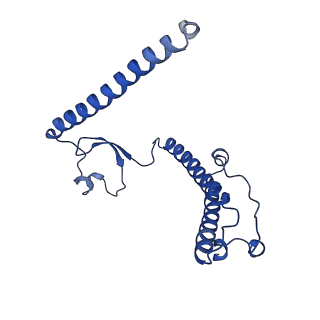 16897_8oir_BF_v1-0
55S human mitochondrial ribosome with mtRF1 and P-site tRNA