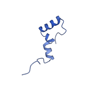 16897_8oir_BJ_v1-0
55S human mitochondrial ribosome with mtRF1 and P-site tRNA