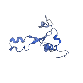 16897_8oir_BK_v1-0
55S human mitochondrial ribosome with mtRF1 and P-site tRNA