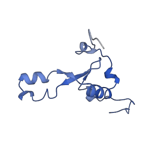 16897_8oir_BK_v2-0
55S human mitochondrial ribosome with mtRF1 and P-site tRNA
