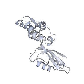 16897_8oir_BQ_v1-0
55S human mitochondrial ribosome with mtRF1 and P-site tRNA