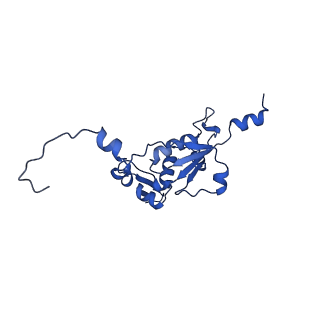 16897_8oir_BR_v2-0
55S human mitochondrial ribosome with mtRF1 and P-site tRNA
