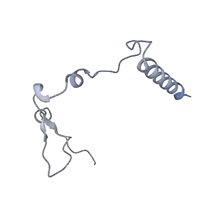 16897_8oir_Bc_v1-0
55S human mitochondrial ribosome with mtRF1 and P-site tRNA
