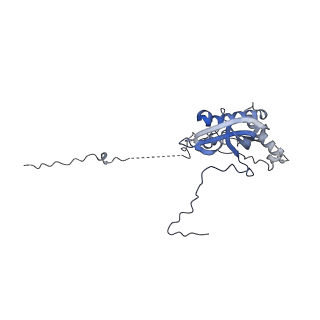 16897_8oir_Bu_v2-0
55S human mitochondrial ribosome with mtRF1 and P-site tRNA