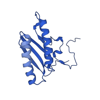 16898_8ois_AC_v1-0
28S human mitochondrial small ribosomal subunit with mtRF1 and P-site tRNA
