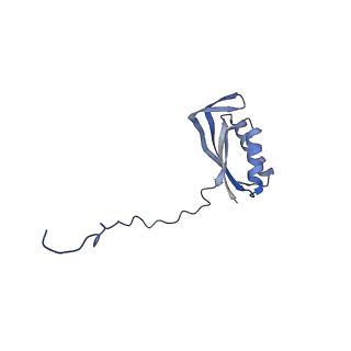 16898_8ois_AE_v1-0
28S human mitochondrial small ribosomal subunit with mtRF1 and P-site tRNA