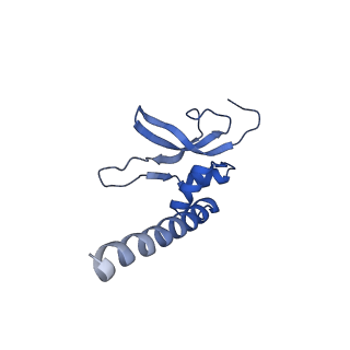 16898_8ois_AM_v1-0
28S human mitochondrial small ribosomal subunit with mtRF1 and P-site tRNA