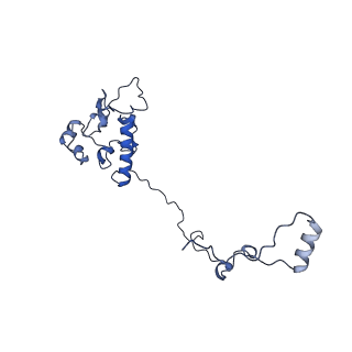 16898_8ois_AO_v1-0
28S human mitochondrial small ribosomal subunit with mtRF1 and P-site tRNA