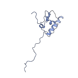 16898_8ois_AP_v1-0
28S human mitochondrial small ribosomal subunit with mtRF1 and P-site tRNA