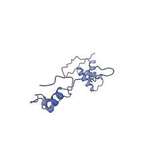 16898_8ois_AS_v1-0
28S human mitochondrial small ribosomal subunit with mtRF1 and P-site tRNA