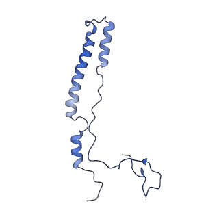 16898_8ois_Ac_v1-0
28S human mitochondrial small ribosomal subunit with mtRF1 and P-site tRNA