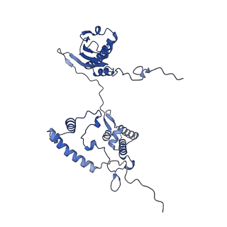 16898_8ois_Ag_v2-0
28S human mitochondrial small ribosomal subunit with mtRF1 and P-site tRNA