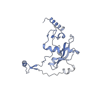 16898_8ois_Aj_v1-0
28S human mitochondrial small ribosomal subunit with mtRF1 and P-site tRNA